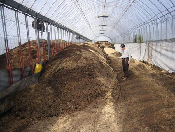 How to compost with cow dung?
