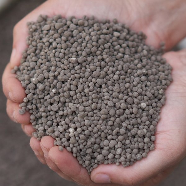 What Are the Advantages of Organic Fertilizer?